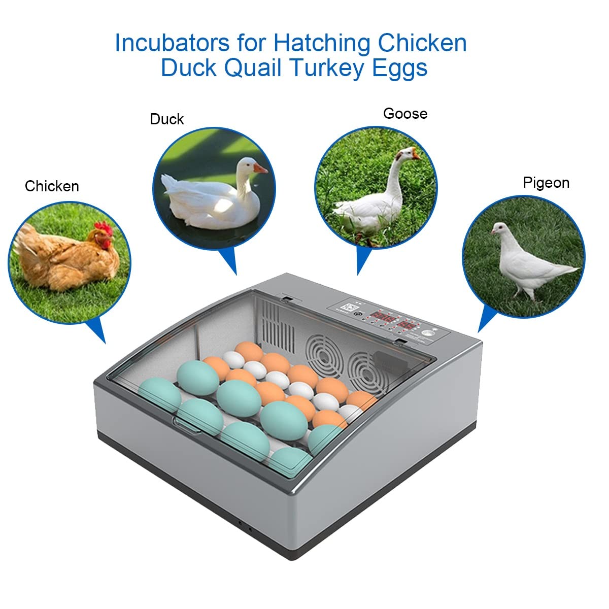 おか専用　自動孵卵器 インキュベーター 鳥類専 おか専用 自動孵卵器 インキュベーター 鳥類専