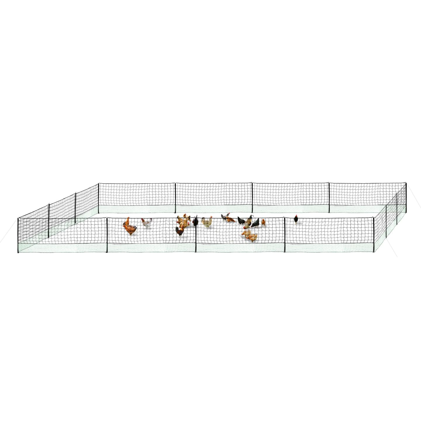 IDMarket – Kit de valla de red de gallinas 50 m con puerta 15 estacas doble punta