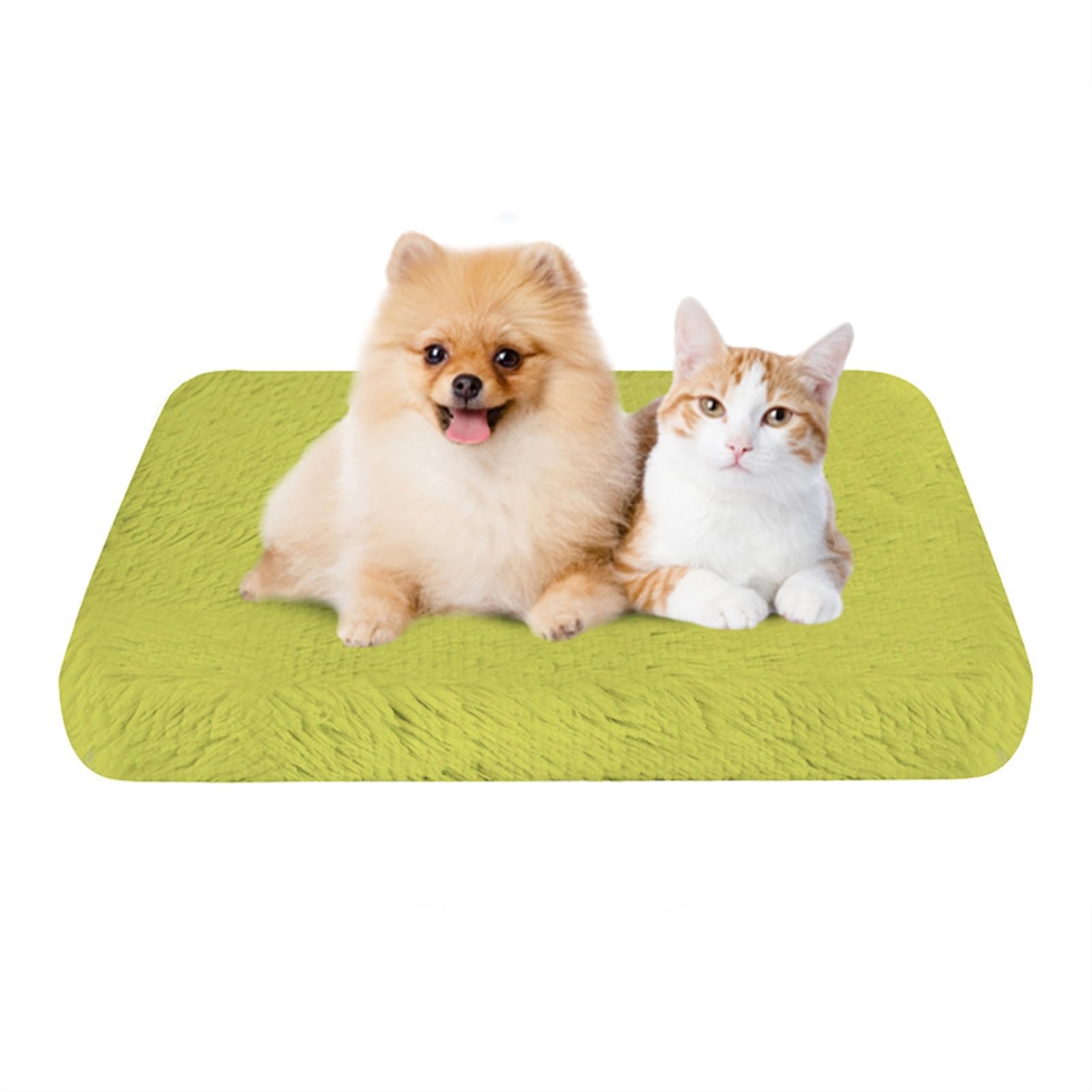 BESTORI Dog Bed Soft Plush Waterproof Lining Dog Crate Pad Mat with Removable Washable Cover Fluffy Anti-Slip Pet Mats for Sleeping Playing, Green 02, 120 x 80 x 7 cm