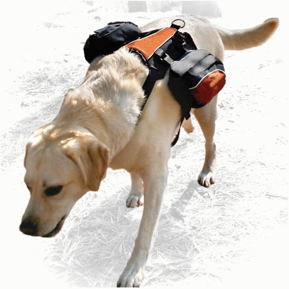 Kurgo Wander Dog Backpack Pet Backpacks Pet Supplies