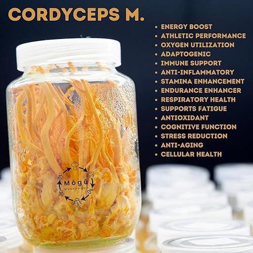 Miniatura 6 de Body & Mind - Extracto dual 121 de melena de león y setas Cordyceps 121 - Enfoque, cognición, energía, resistencia, 100% cuerpos fructíferos -