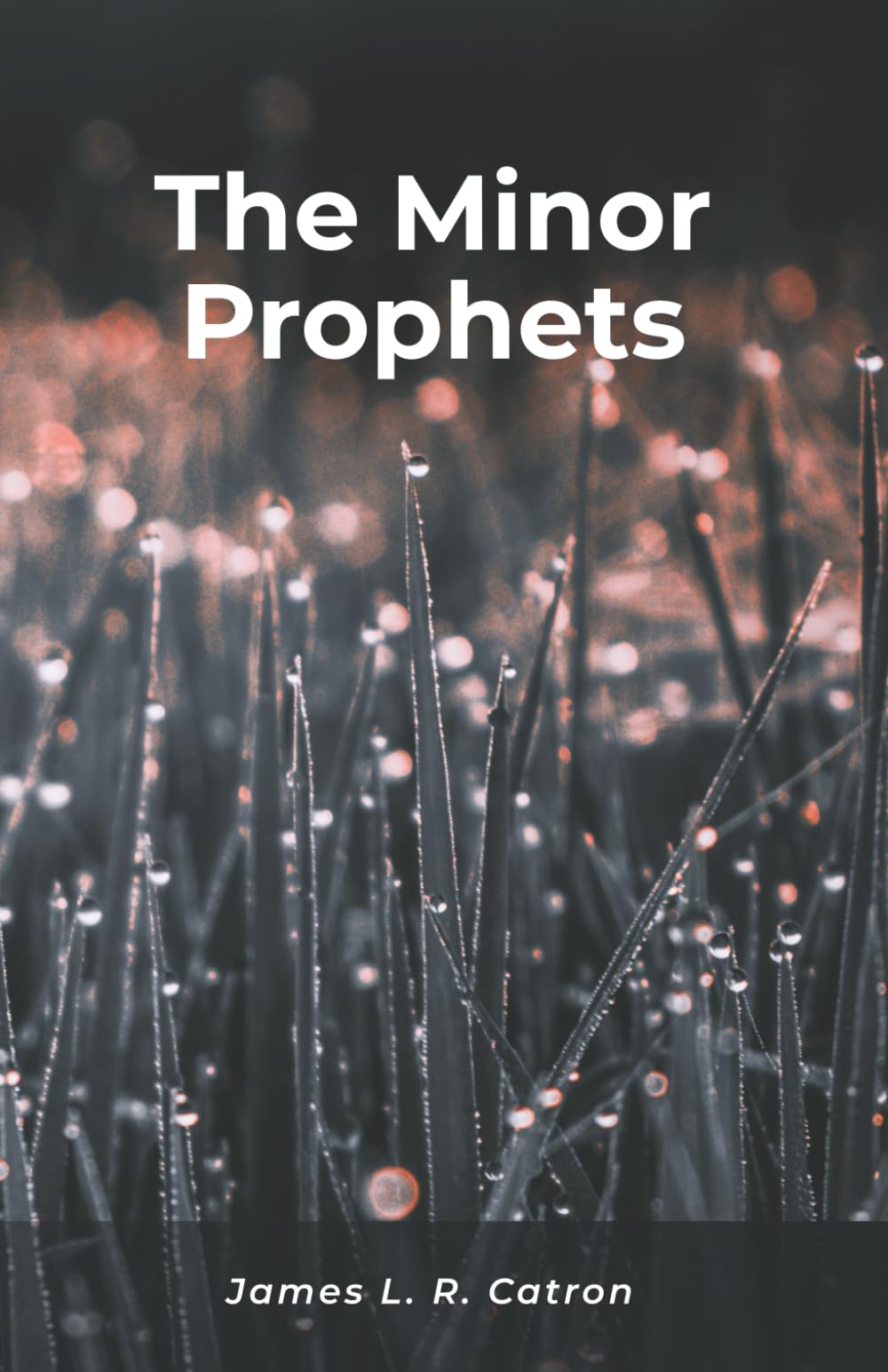 Minor Prophets