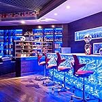 Puhong outdoor rope string lights for halloween christmas valentine indoor background decoration 12 61wg1tirrbl. Sl500. Ss150