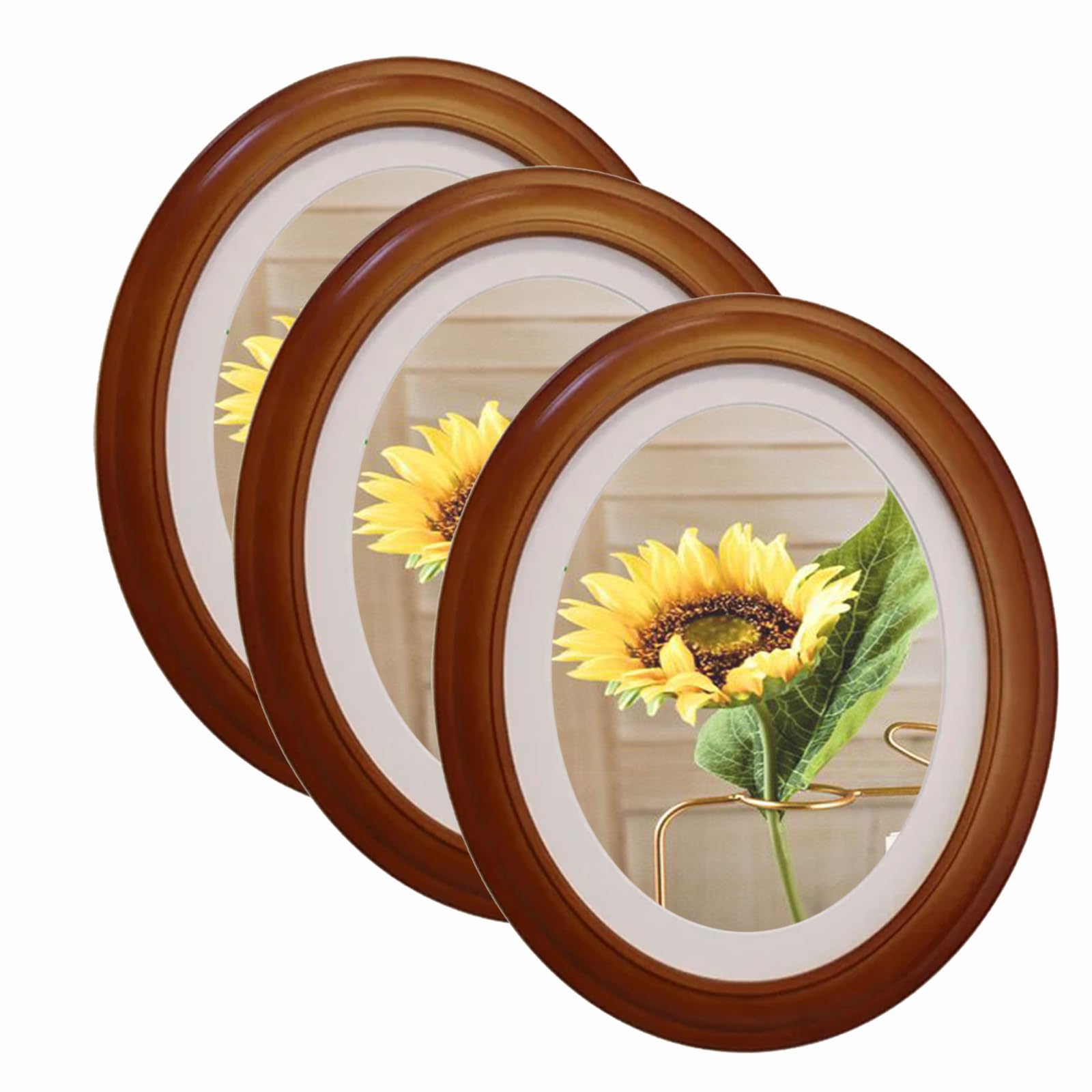 irbaniland 3Pack Frame Picture Photo Oval Wall Frames Hanging Round Home Decoration White Black Decorating Tool Tabletop Vintage (Coffee,8x10)