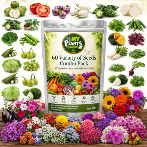 Image of All Season Seeds Combo - 60 Variety Pack | Veg + Flower Seeds | 3700+ Seeds | High Germination | Home Gardening Kit for Balcony, Terrace & Garden