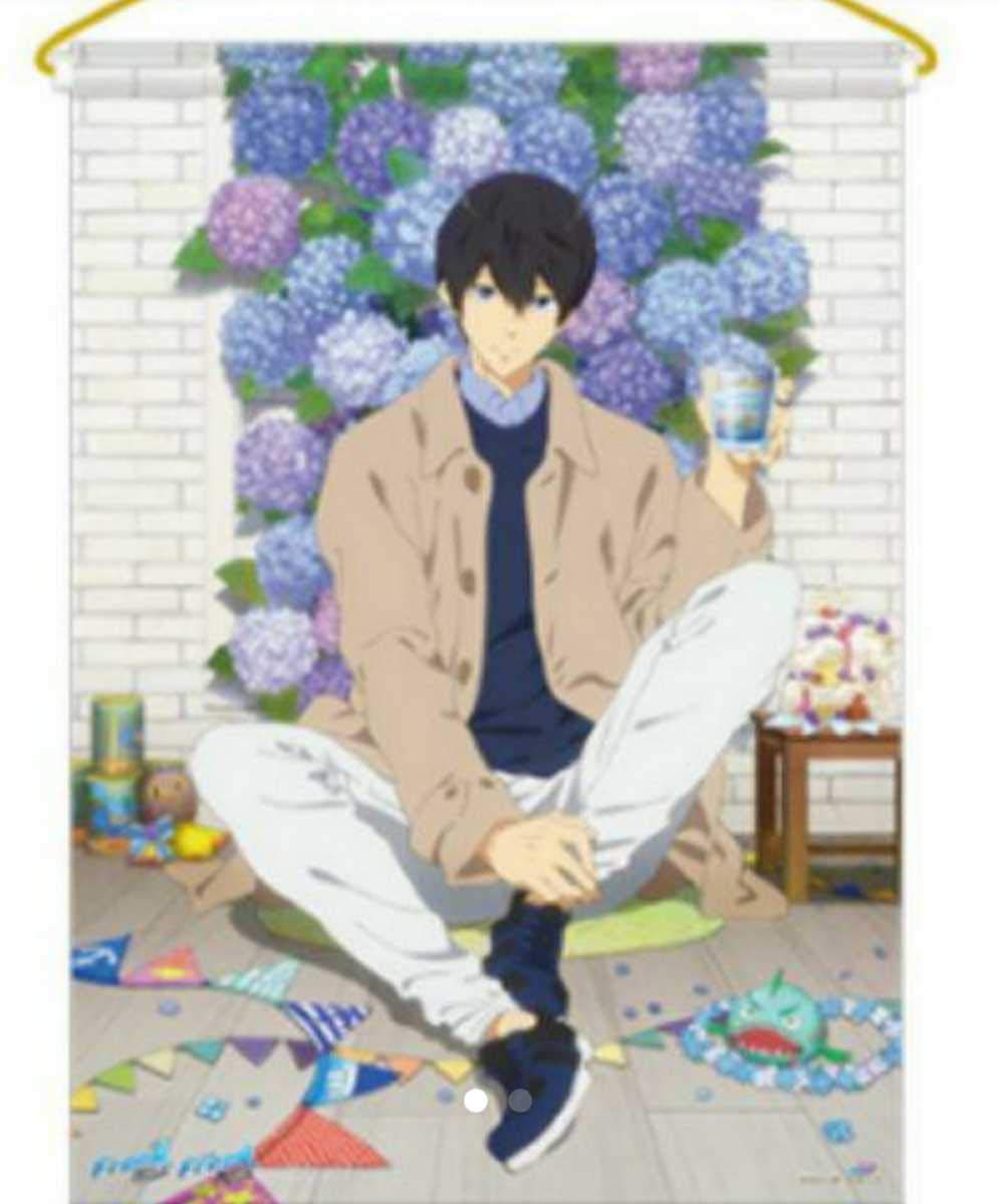 Amazon.co.jp: Free！七瀬遥 バースデータペストリー Link up Smile