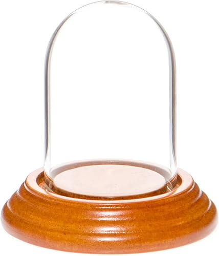 Miniatura 7 de Plymor Mini campana de cristal en forma de domo para exhibición, de 1.85 x 2.875 pulgadas