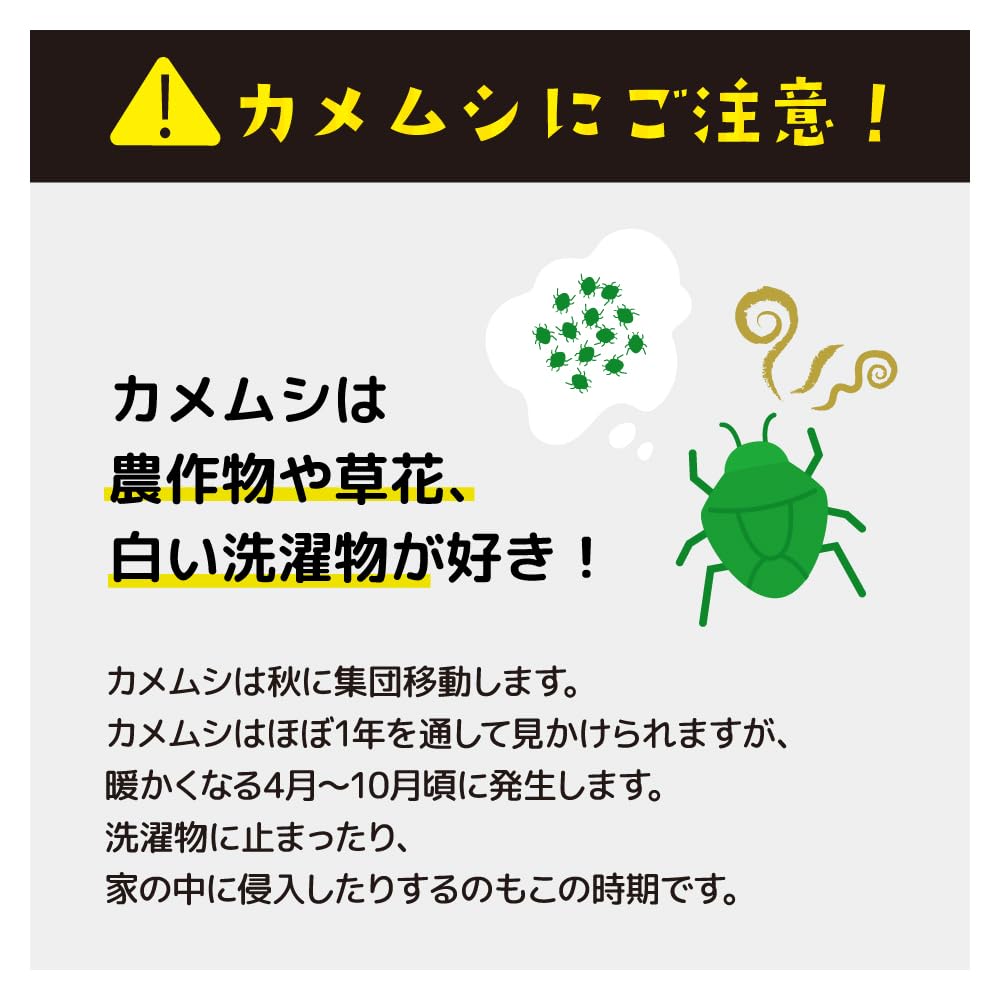 Amazon.co.jp: グローバルジャパン さよならカメちゃん 掛け