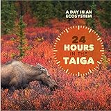 24 Hours in the Taiga (A Day in an Ecosystem)