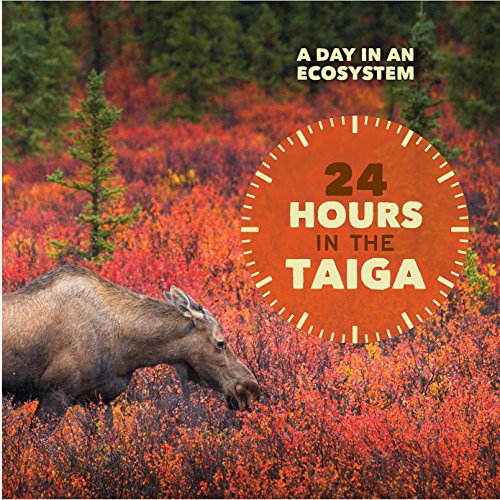 24 Hours in the Taiga (A Day in an Ecosystem)