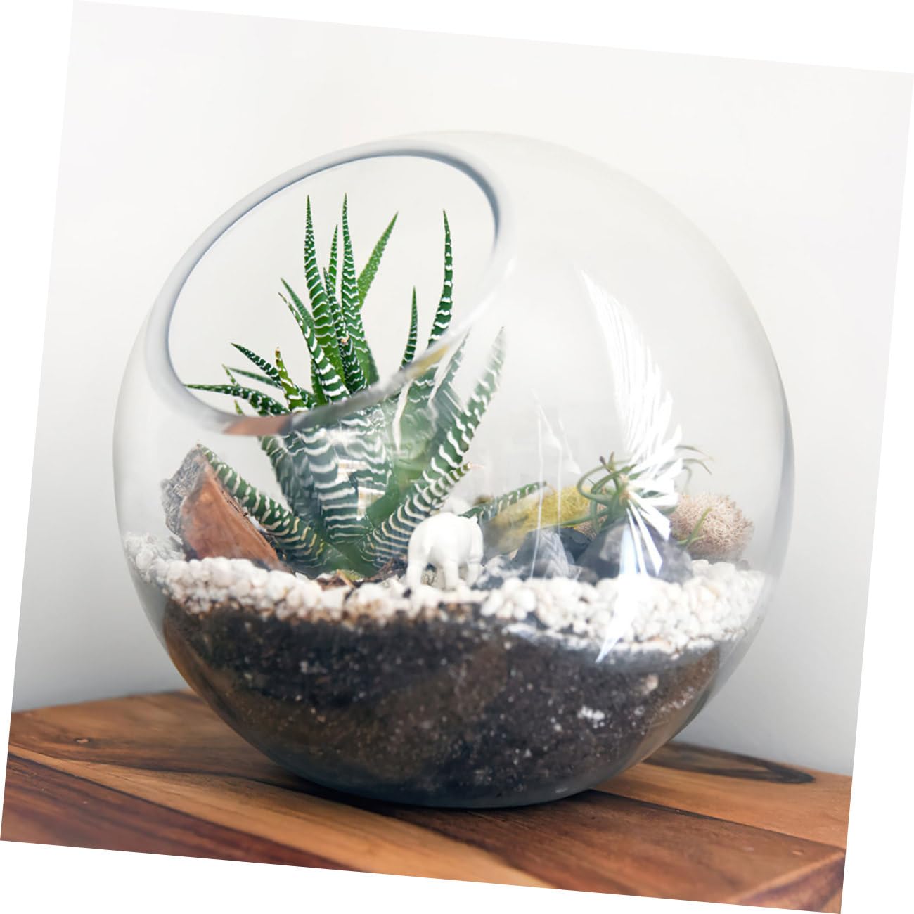 TOYANDONA Set 3 Pezzi Terrario di Vetro per Piante Grasse, Bottiglia Ecologica Trasparente Design Artistico, Contenitore per Micro Paesaggio e Decorazione Fai da Te per Interni