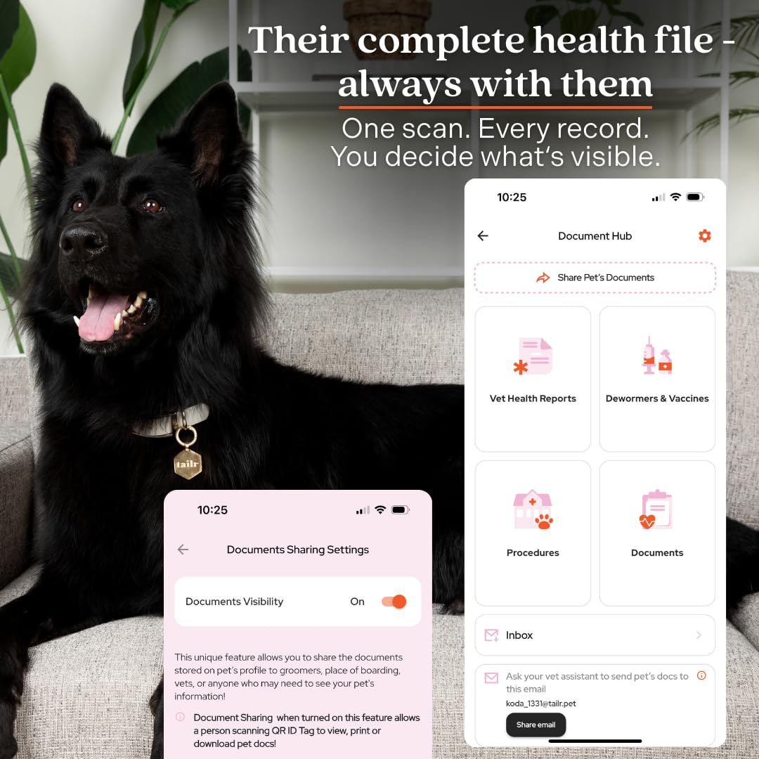 Medaglietta identificativa per animali domestici, con codice QR, medaglietta per cani di grandi dimensioni, etichetta per gatti, profilo personalizzato, include app gratuita per la gestione degli