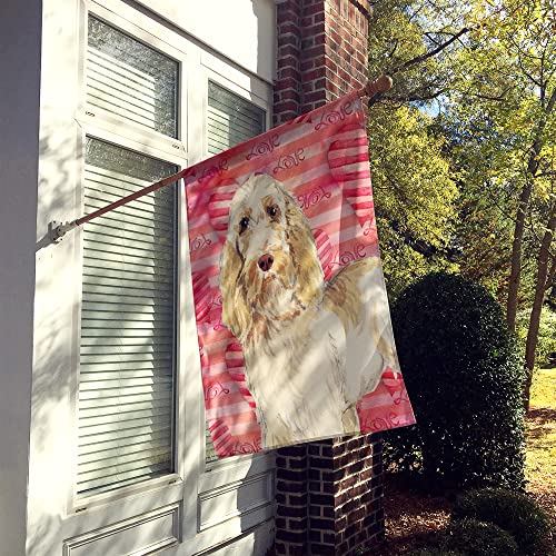 Drapeau Spinone Italiano grand format multicolore Caroline's Treasures