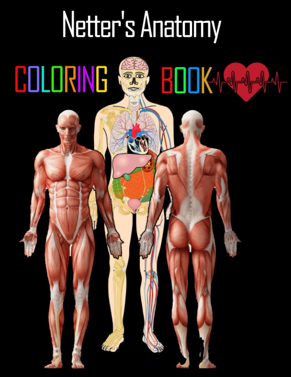 Buy Netter s Anatomy Coloring Book Creativity Student Consult Access buy-netter-s-anatomy-coloring-book-creativity-student-consult-access
