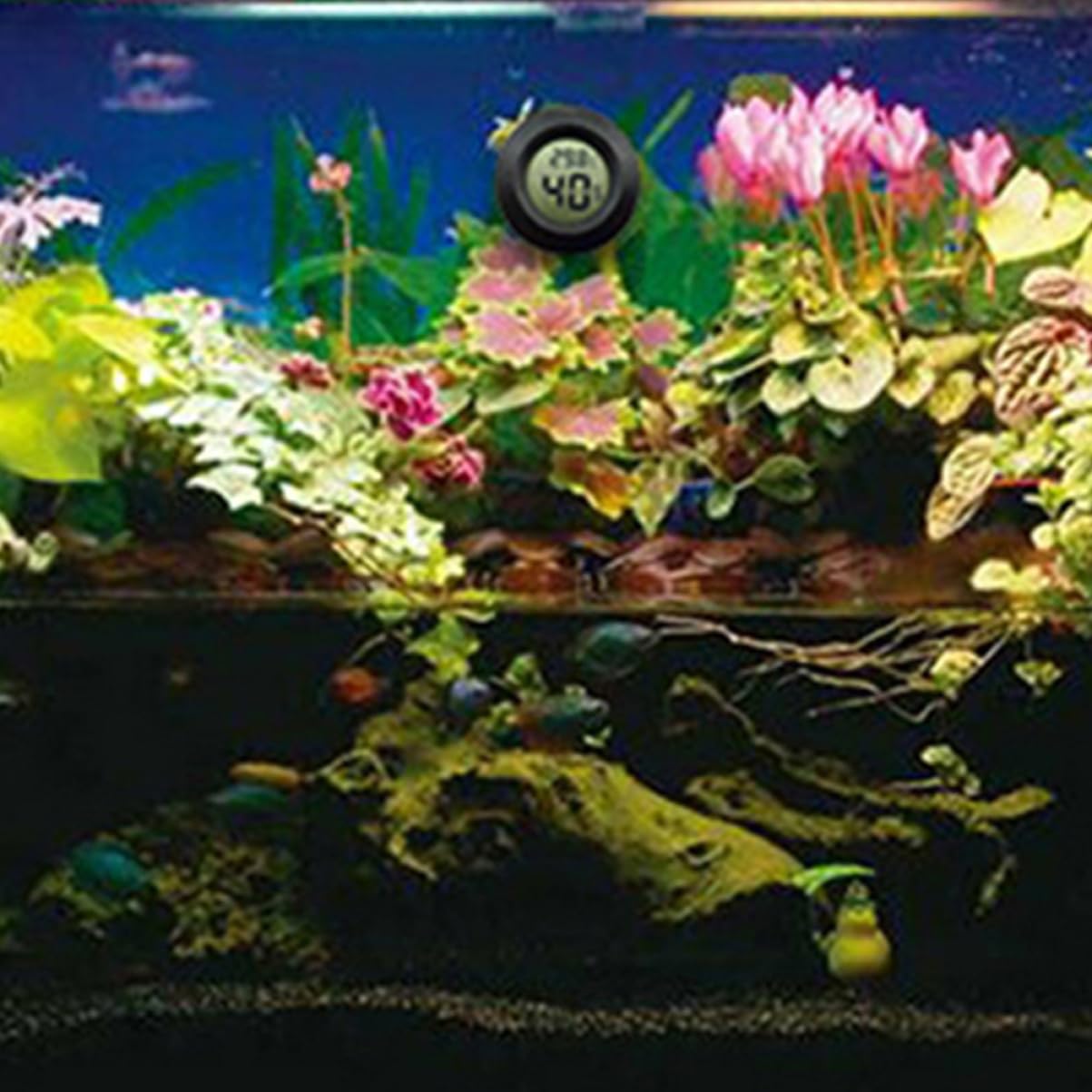 POPETPOP 14pcs Mini Digital Hygrometer Thermometer for Reptile Tanks Terrariums Accurate Humidity Measurement for Bearded Dragon Accessories Compact Lightweight Design