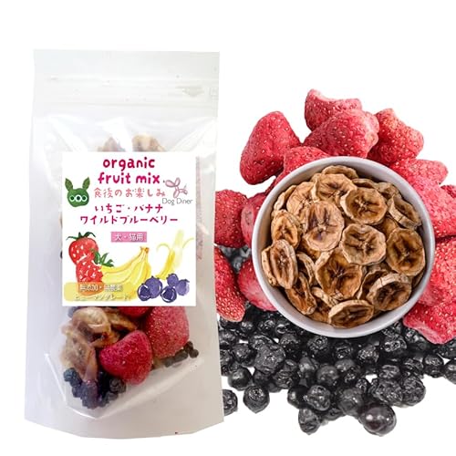 ELEybgp (hCt[c ~bNX 1)Y L@ I[KjbN  XibN ʕ  oii Chu[x[ u[x[ J[ Mtg v`Mtg t[c