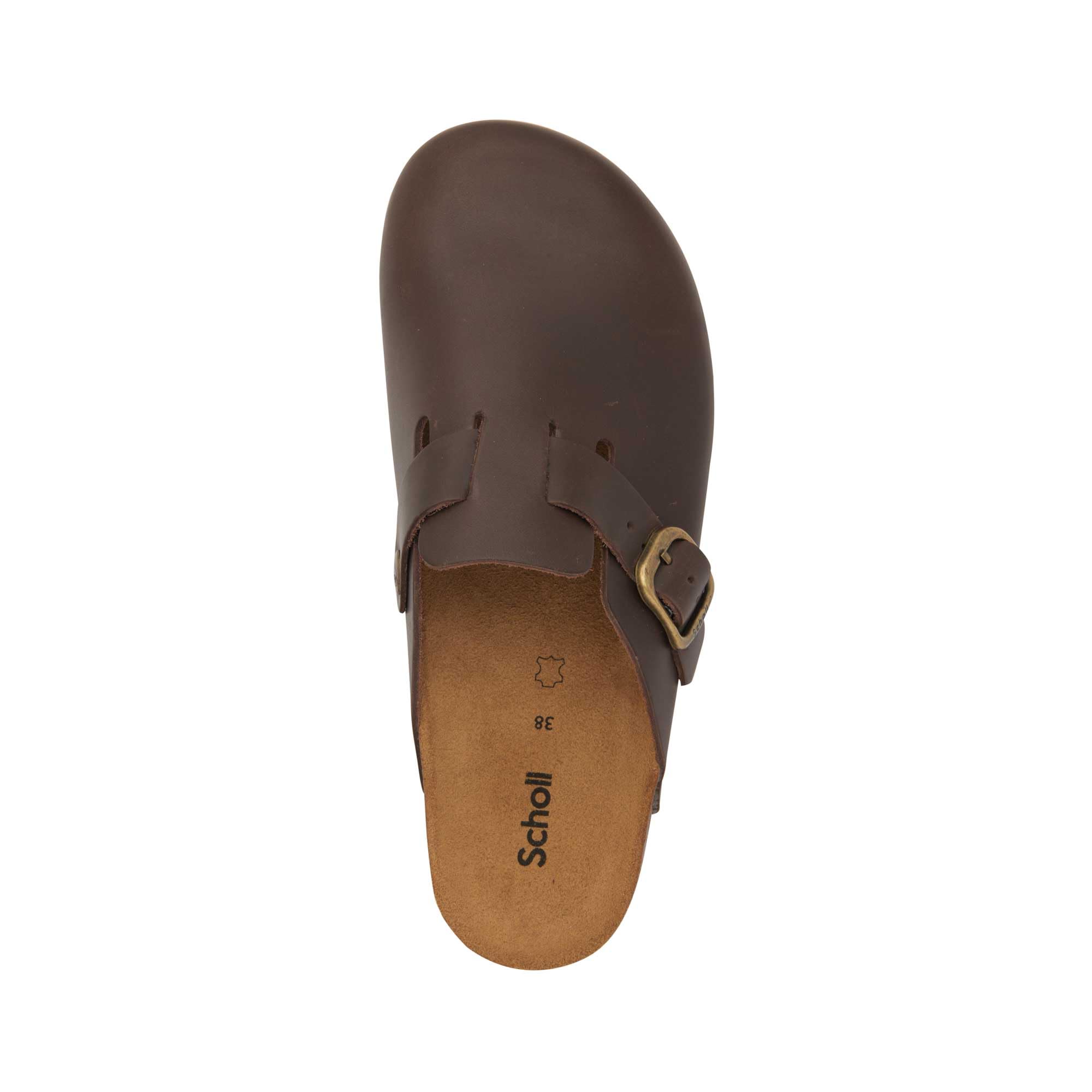 Scholl Fae New ZoccoliDonna