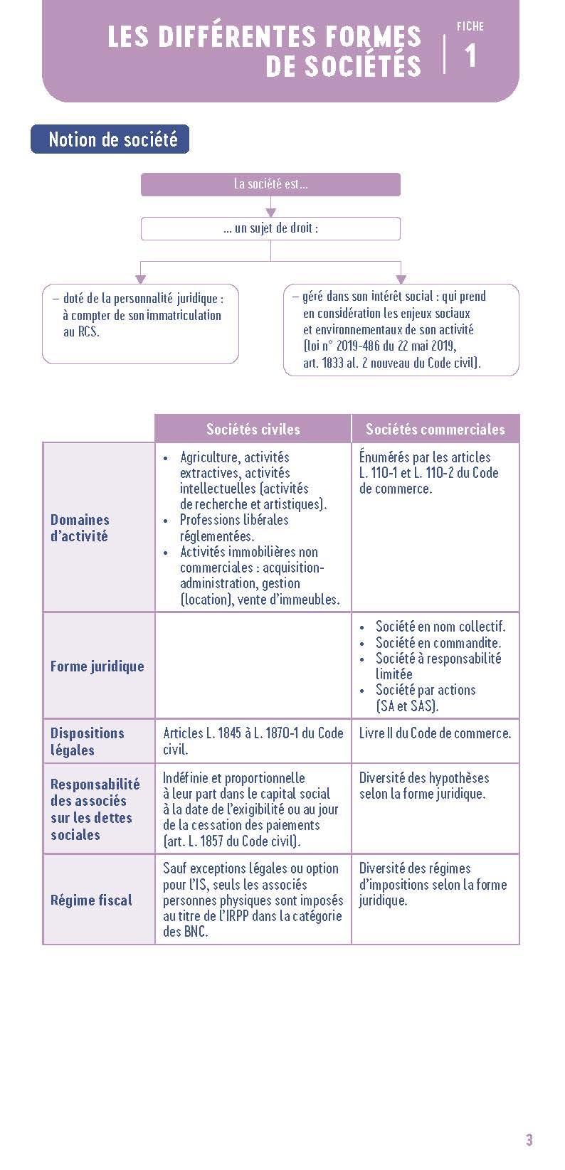 Le petit Droit des sociétés 2025: L'essentiel en bref