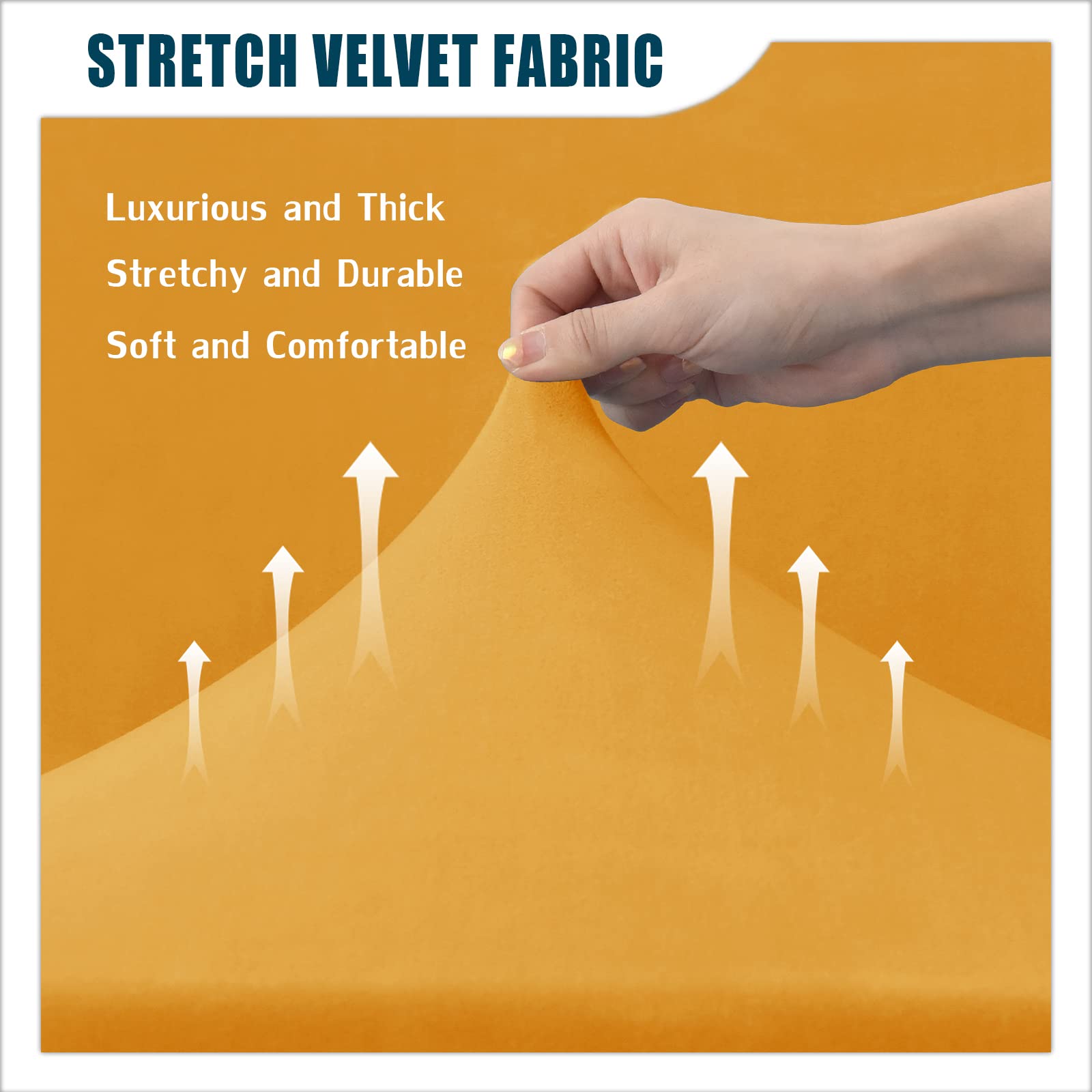 View 5