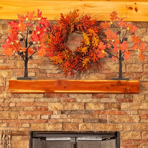 Fall Decorations for Home, 2 Pack 24IN Lighted Maple Tree Acorn Leaves Tree with Warm White LEDs, 2FT Brown Battery Powered Timer Autumn Table Trees Decor for Thanksgiving, Tabletop, Indoor - Image 3