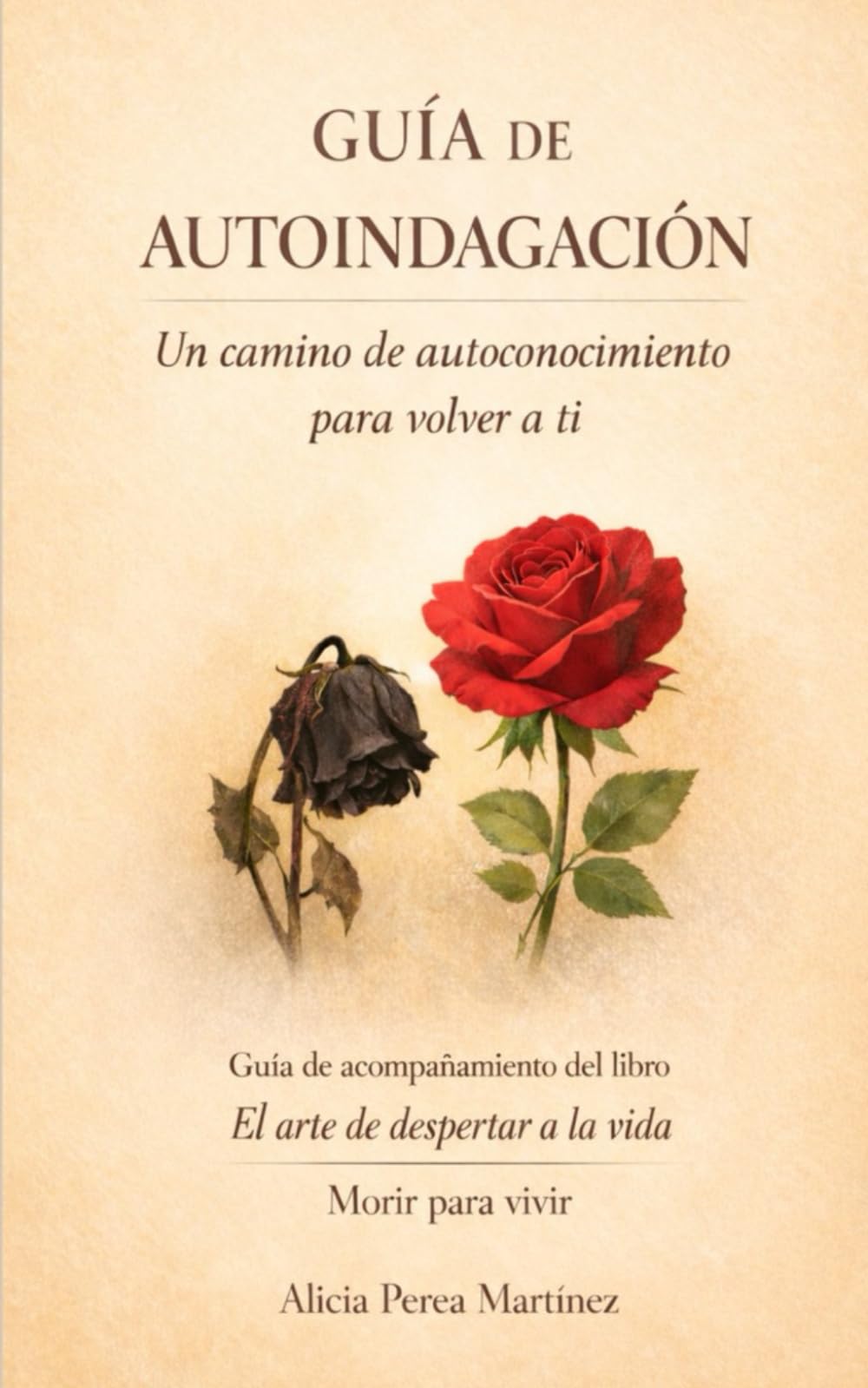 Guía de autoindagación: un camino de autoconocimiento para volver a ti