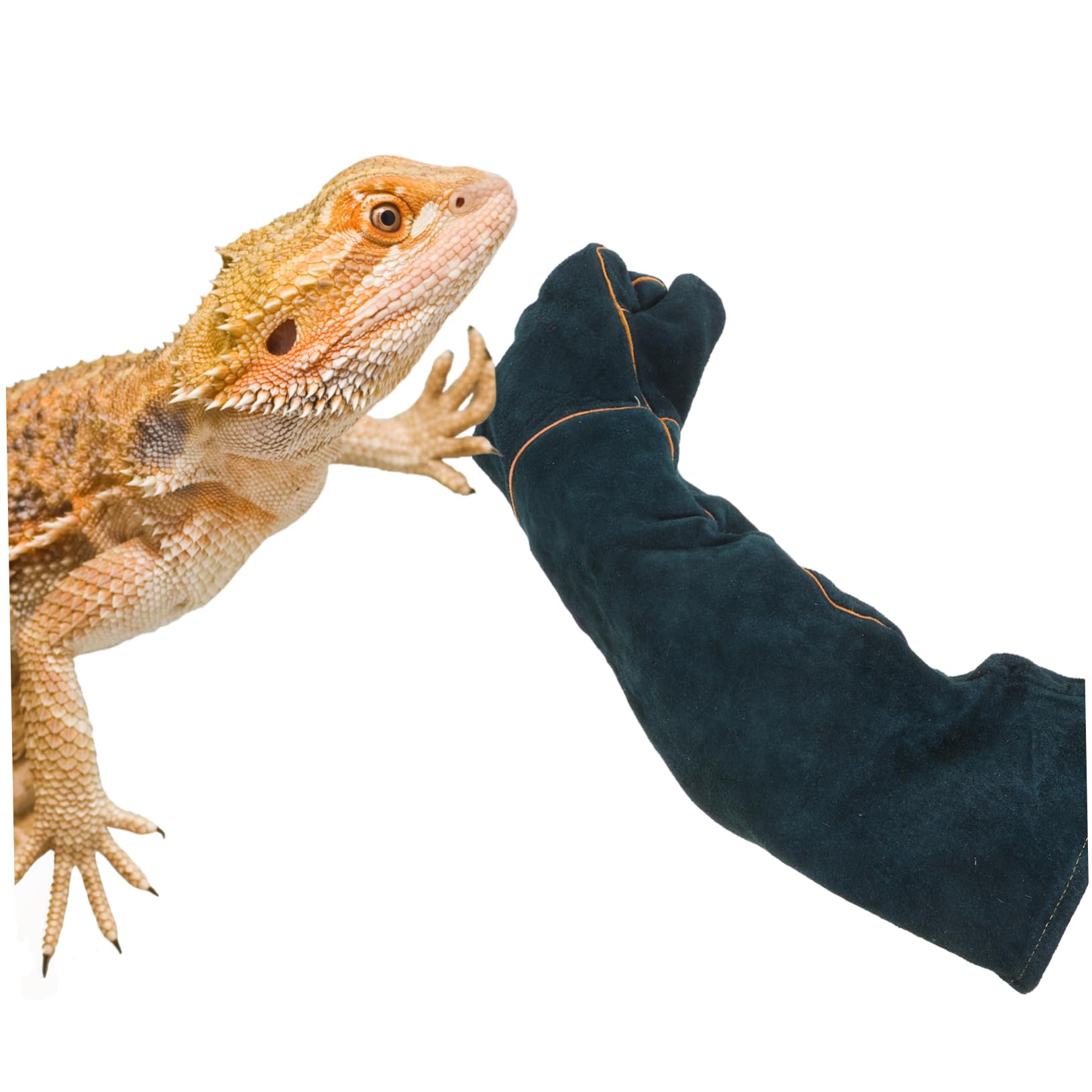 Uonlytech Moufles de Protection Anti-morsure pour Reptiles et Chats, Cuir de Vache, Ajustement, pour Manipulation D’animaux et Alimentation