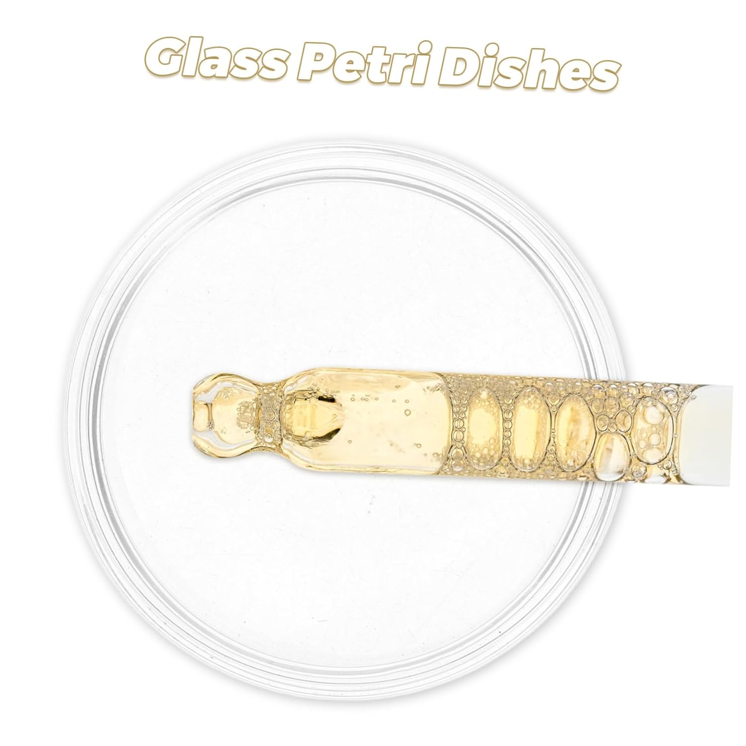 Cabilock 10pcs Microbiology Lab Accessory Glass Petri Dishes Lids for Agar Plates Cell Culture Educational Use