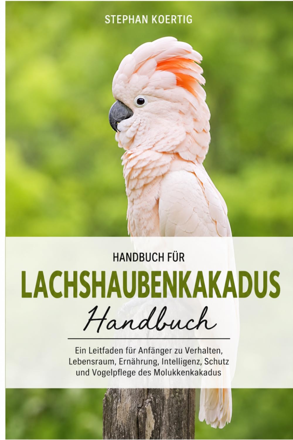 Handbuch für Lachshaubenkakadus: Ein Leitfaden für Anfänger zu Verhalten, Lebensraum, Ernährung, Intelligenz, Schutz und Vogelpflege des Molukkenkakadus