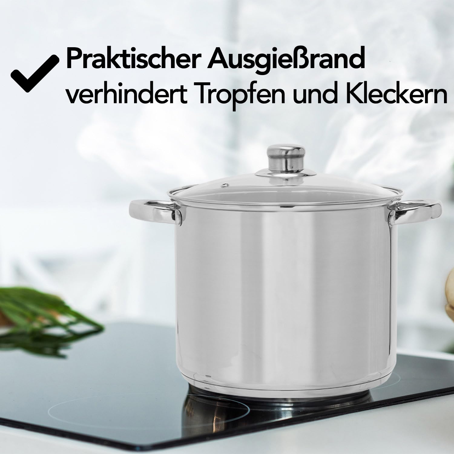 Brixy Suppentopf Kochtopf mit Glasdeckel, 16,5 Liter Fassungsvermögen, 30 cm Durchmesser, Induktionsgeeignet, Edelstahl Silberfarben