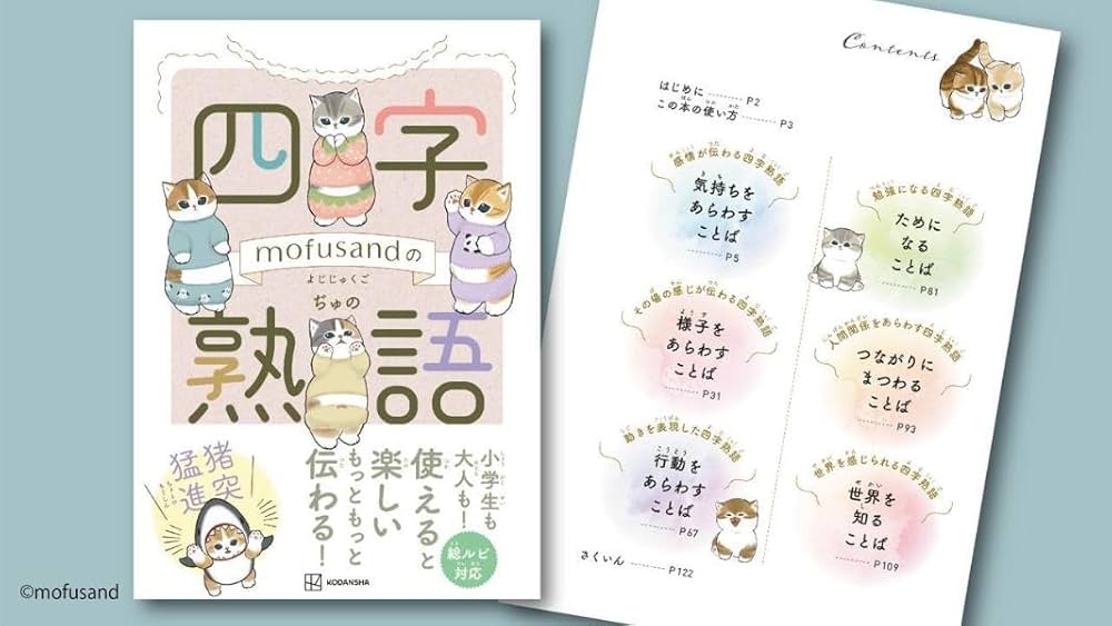 極希少品❗️これで充分四字熟語 61WGqSMIdzL._UF1000,1000_QL80_.jpg