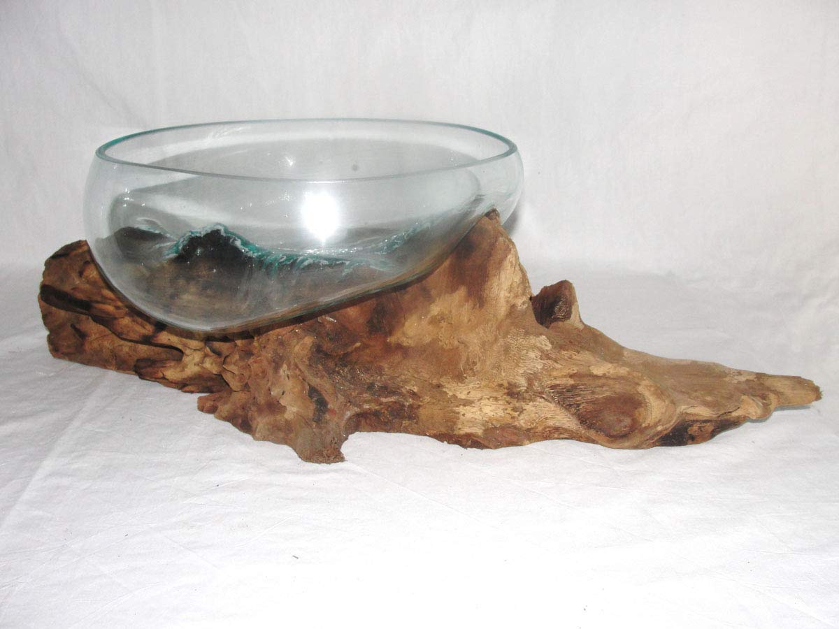 Deko Glasschale Ø 30 cm Obstschale Blumenschale auf Wurzel-Holz, Vase Schale mit Treib-Holz Dekovase Dekoschale charakteristische Dekoration