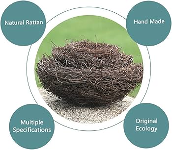 Vogelnest, knstliches Vogelnest, Vogelhuser, Garten, Natur,  Kunsthandwerk, knstliches Vogelnest, Vintage-Vogelkfig, kreativ fr  Ostern, Frhlingsdekoration, optisches Geschft (6 cm) : Amazon.de: Haustier