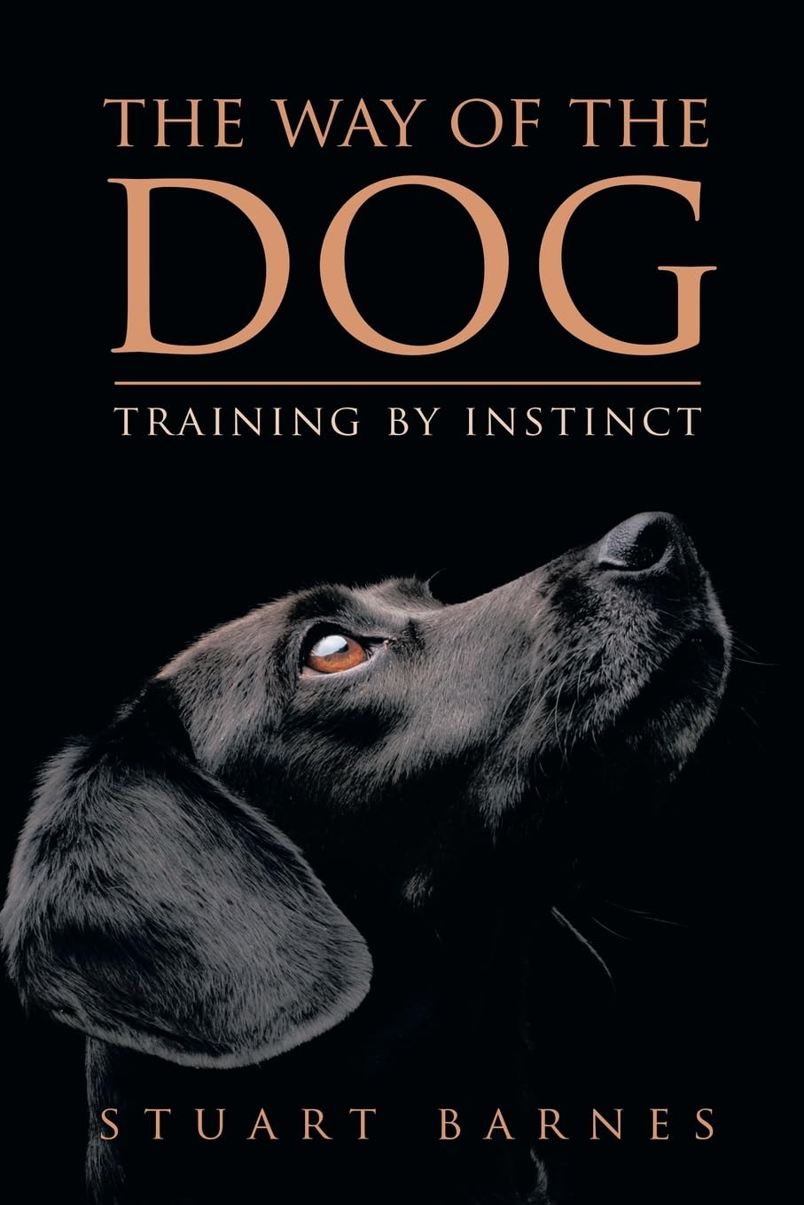 The Way Of The Dog: Training By Instinct