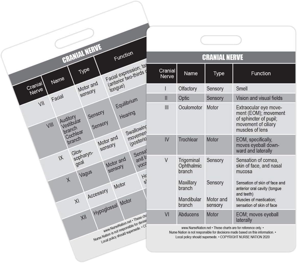Cranial Nerve Chart Reference Vertical Badge Card - Excellent Resource for Nurses, Nursing Clinicals, and RN Students - Great Nursing School Supplies and Accessories