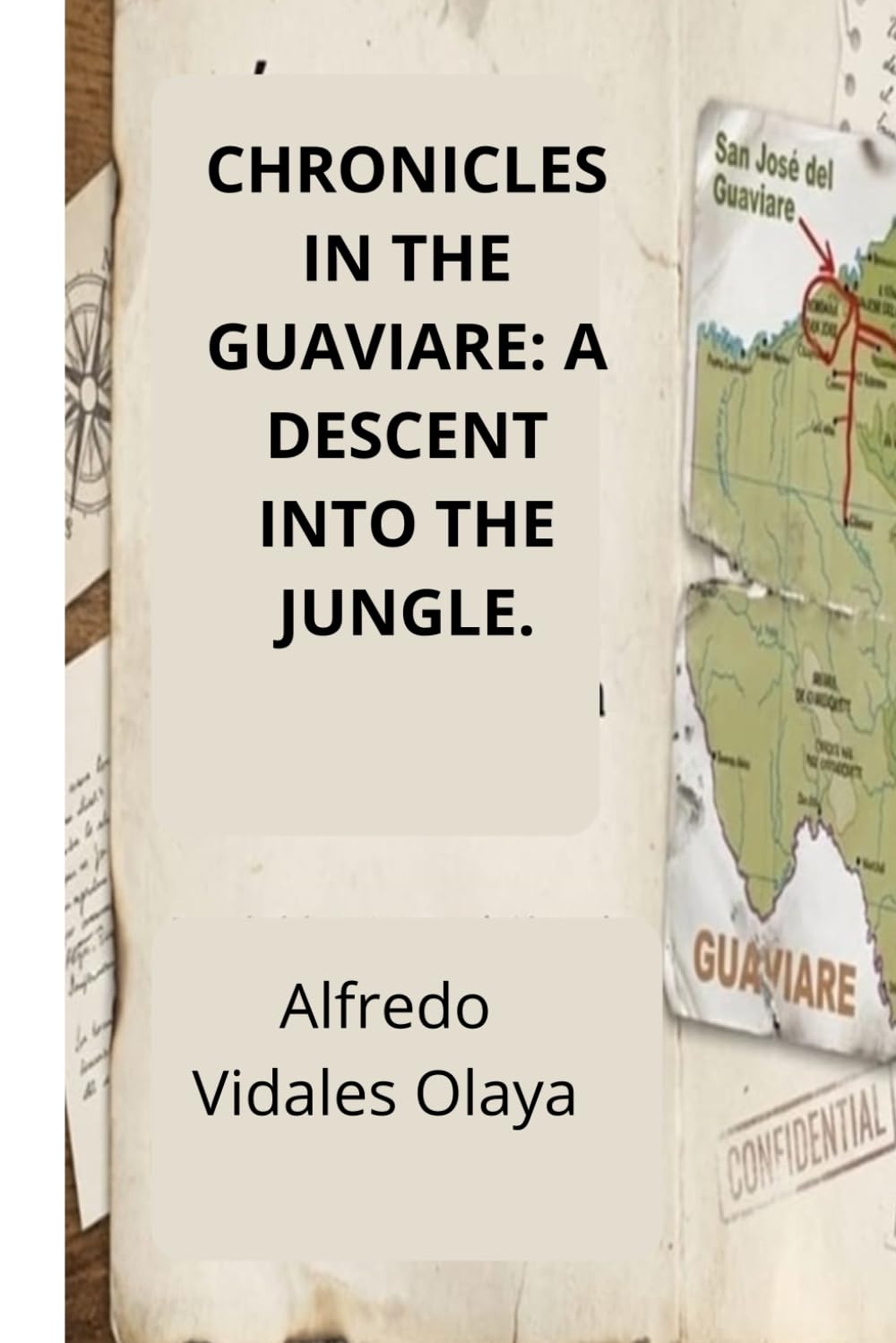 Chronicles of Guaviare: A Descent into the Jungle