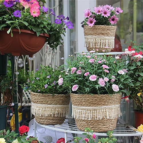 3 Pack Seagrass Plant Pot Basket for Indoor Outdoor Planter - Rustic Flower Pots Cover with Boho Tassels - Woven Pot Plant Basket for House Decor, Corridor, Living Room and Balcony