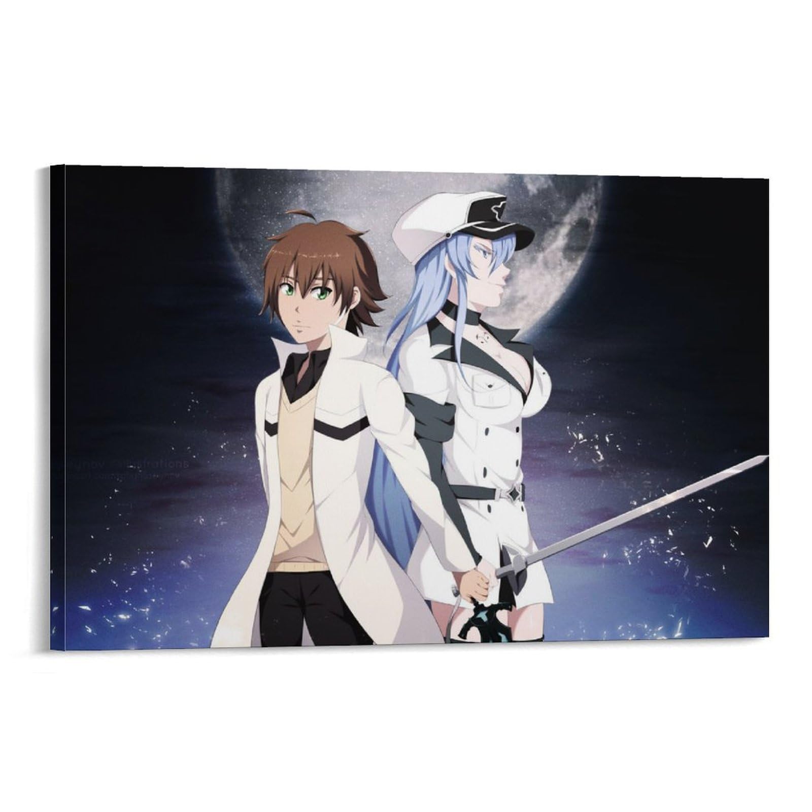 Amazon.co.jp: アニメポスター アカメが斬る！ ポスター装飾画 
