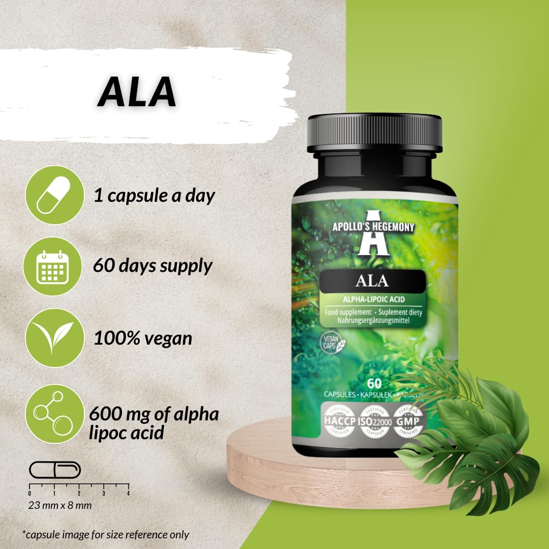 ALA (Alpha Lipoic Acid) 600 mg - 60 gélules végétaliennes - Optimise la gestion du glucose - Soutient la santé mitochondriale - Approvisionnement de deux mois - par Apollo's Hegemony