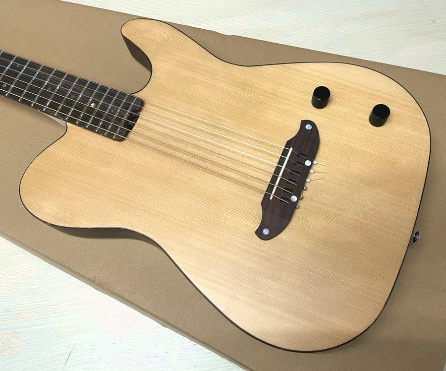 Amazon | SCHECTER OL-FL-N-2 SNTL ナイロン弦 シェクター 薄胴