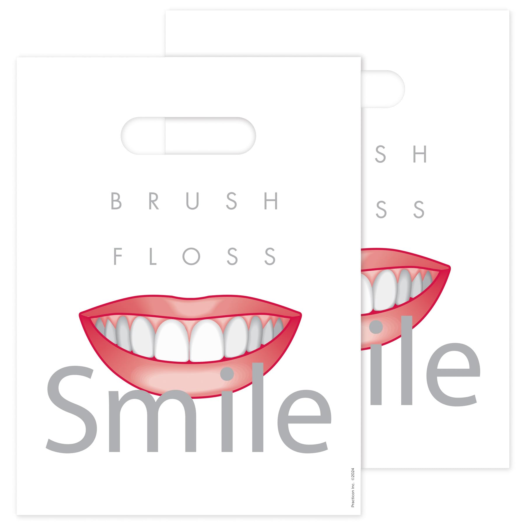 Practicon 1109631 Lot de 100 sacs de soins pour patients 22,9 x 30,5 cm