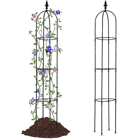 Lalahoni 6ft Tall Plant Trellis for Climbing Plants Outdoor