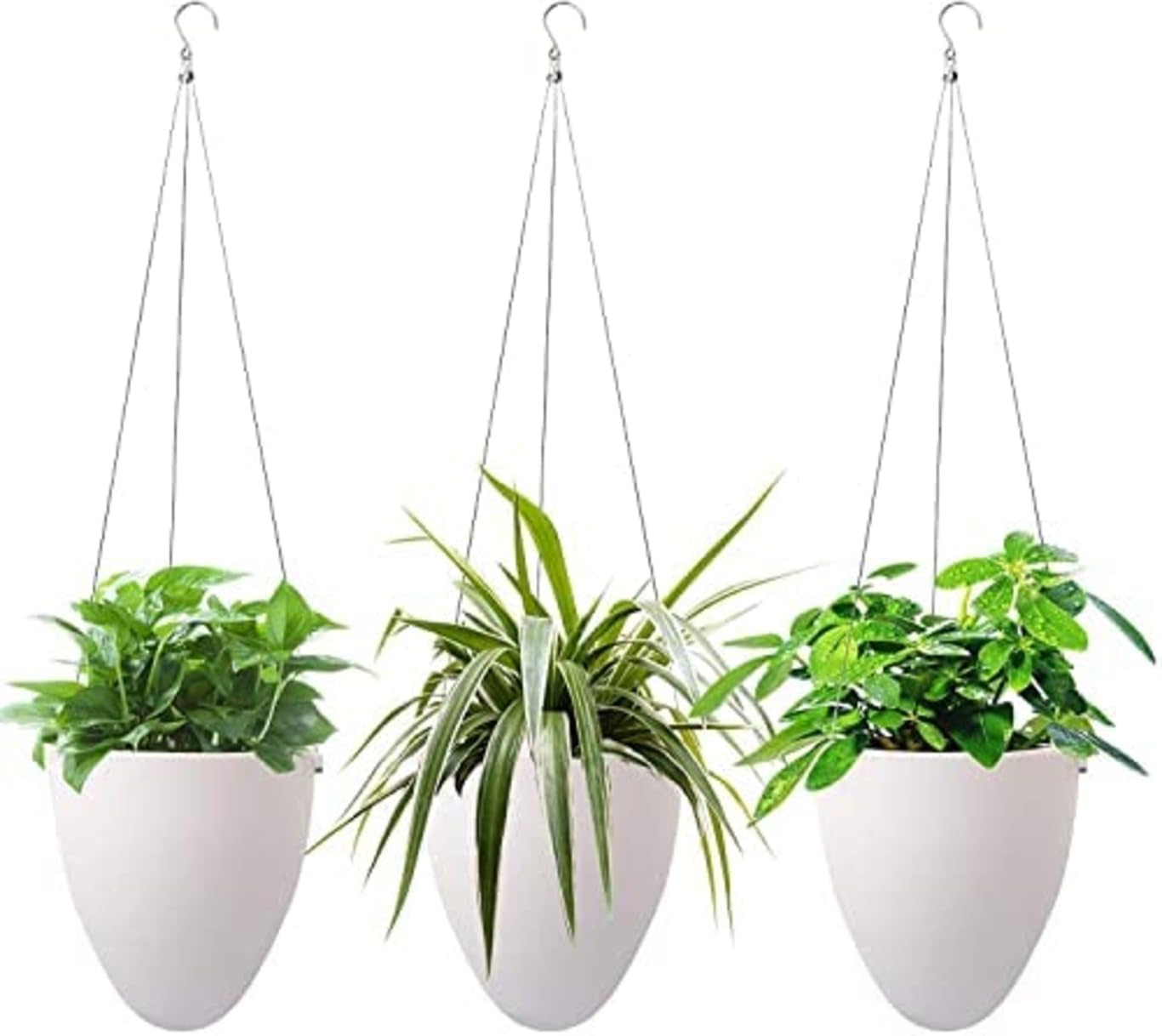 Garden Art Hanging Self Watering Pack of 1 Planter (White GAD09) Unique Eggshell Hanging Flower Pot for Home, Office, Balcony, Terrace Indoor,Outdoor Decorative Container |Best for GIfing (B0C5MVZZRX) Amazon Price History, Amazon Price Tracker
