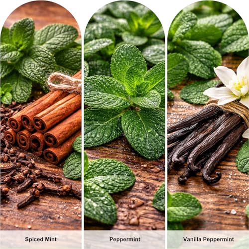 Collier respiratoire aromatisé ASTOFLI dispositif de soulagement du stress avec saveur