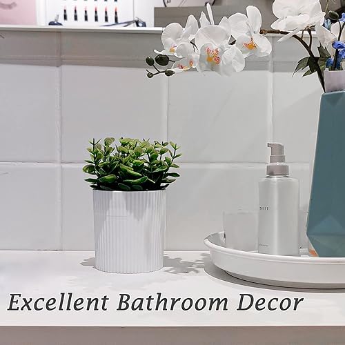 Miniatura 9 de Baño de dentadura, estuche invisible para dentaduras postizas diseñado como plantas artificiales en maceta de eucalipto, copa de dentadura con