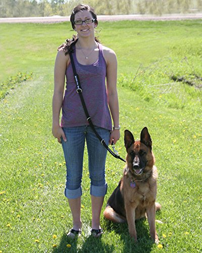 Activedogs Hands-Free Adjustable Service Dog Leash, 6.5' X.75 Premium Quality Crossbody K9 Training Lead - Black Nylon #TOP2