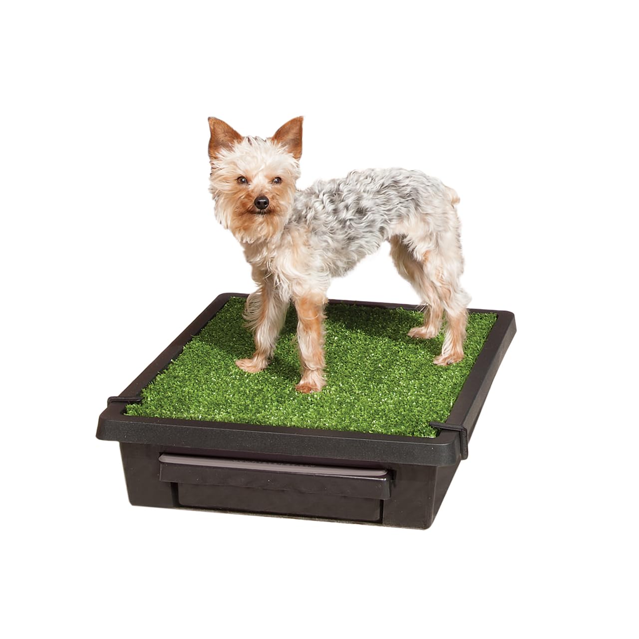 PetSafe Pet Loo Portable Dog Potty - Pet Toilet Alternative for Puppy Pads - Small - Perfect for House Training - Easy-to-Clean Grass Mat