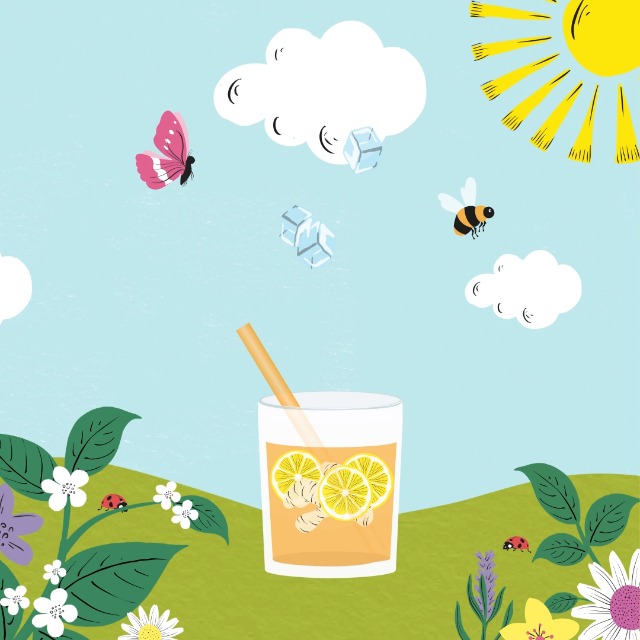 Amazon.com : Clipper Tea Lemon & Ginger Teabags – Caffeine Free