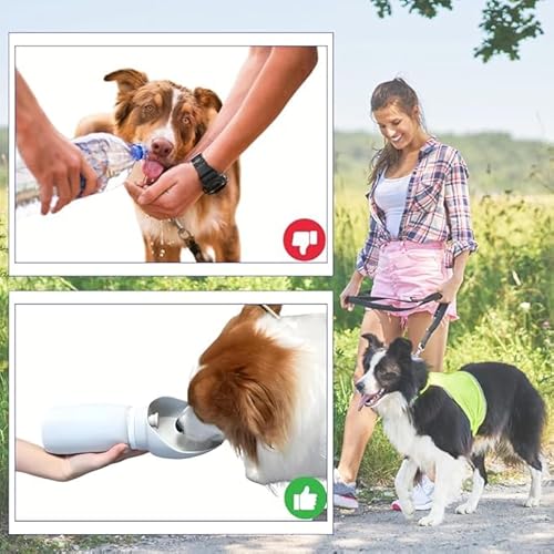 Bebedouro Portátil Pets Antivazamento, Dobrável e Leve Silicone 2 Em 1 Água e Ração Para Passeio Via