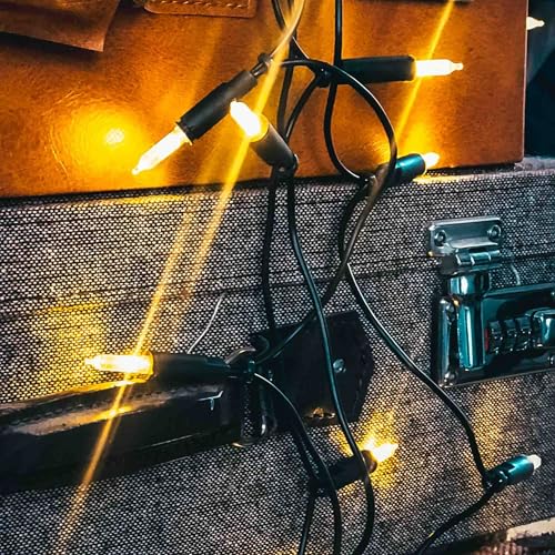 hellum Lichterkette innen mit Stecker Mini Lichterkette 100 Lichter warmweißes Licht beleuchtete Länge 14,85 m grünes Kabel für Christbaumbeleuchtung innen Wohnraum Tischdeko <59lm 839012