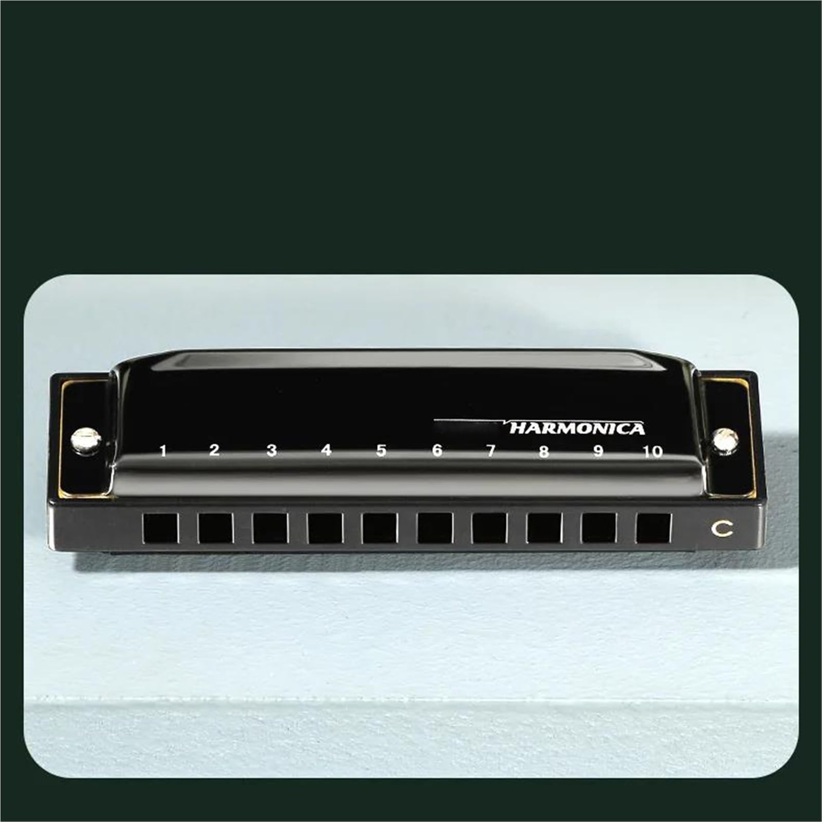Armonica Blues A 10 Fori Per Principianti Introduttiva Tonalità Di Do Professionale(Black)